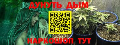 бошки Будённовск