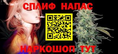 бошки Будённовск