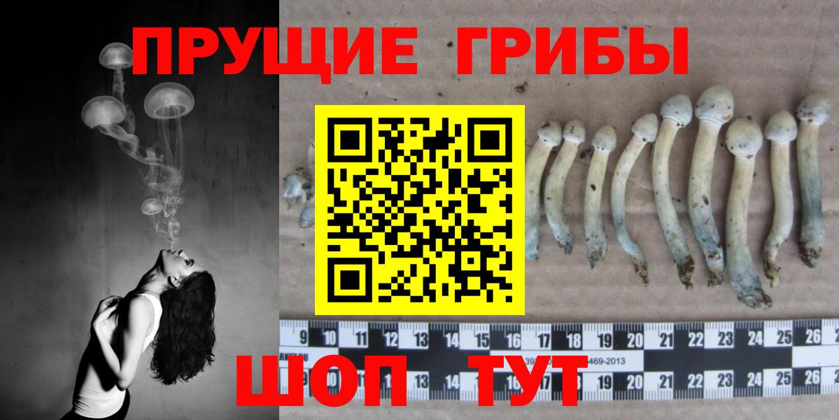 Псилоцибиновые грибы ЛСД  Псилоцибиновые грибы MAGIC MUSHROOMS  Мыски  Вход с VPN 